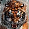 Ťaiğer .. 🐅