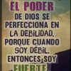 luis152819