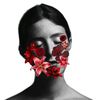 hanin.z1