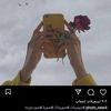 donia8722