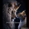 PROCUREUR-GENERAAL
