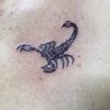 lucifer_scorpio