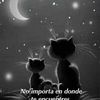 mimadehernandez6