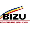 BIZU Concursos Públicos