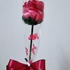 user4j6kh5