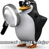 yourcrabb