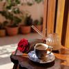 54545shahj