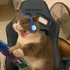d3riicksssxx
