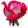 waqasabid761