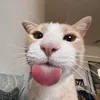 rogersnguyen007