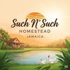suchnsuchhomesteadja