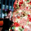 userphuong_bds