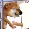 nhincakjhaha