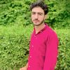 ahsanshah4388