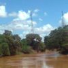calibeeyle1