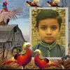 israrahmad1794