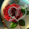 qlbimd.biri.varr