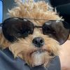 cohenthibodeaux40