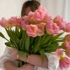 nourhan2681386