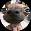wiipig
