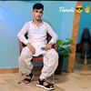hamidt46