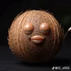 drflip1