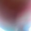 sillysally421