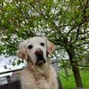 www.tiktok.normandie14