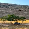 riyad.hadje