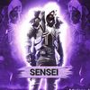 senseipubgm2