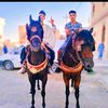 islamabi172