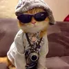 diiasx_x