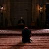 mohammedallali83