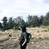 mansfirr