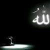 hamba.allah1203