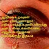 apiramy1