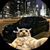 zw_editx