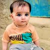 gul.wahid43