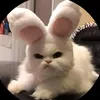 bowcute43