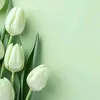imcloudyn02