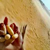 bahibahi569