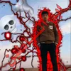 msg_mp