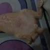 mashiroochi