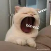 sp_2k10_hoi_bao1