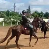 aliuha77