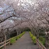 kazu_ro_777