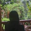 ale_2807tj