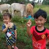 yapukmulerrr
