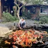 hoangphat_59