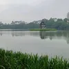 hue.coi4